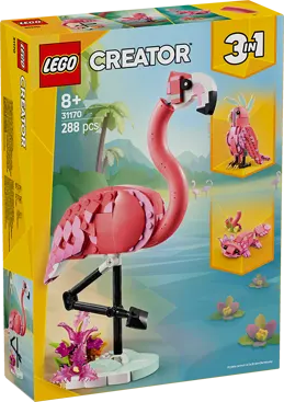 31170